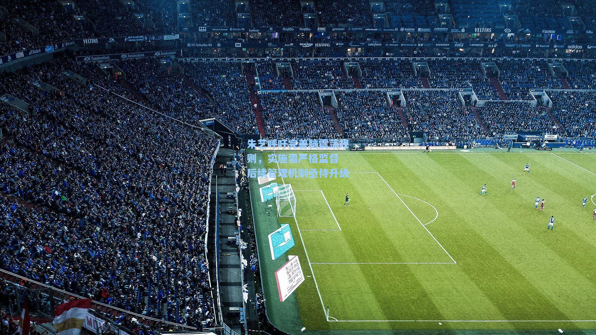 朱艺呼吁完善脑震荡规则，实施需严格监督 后续管理机制亟待升级