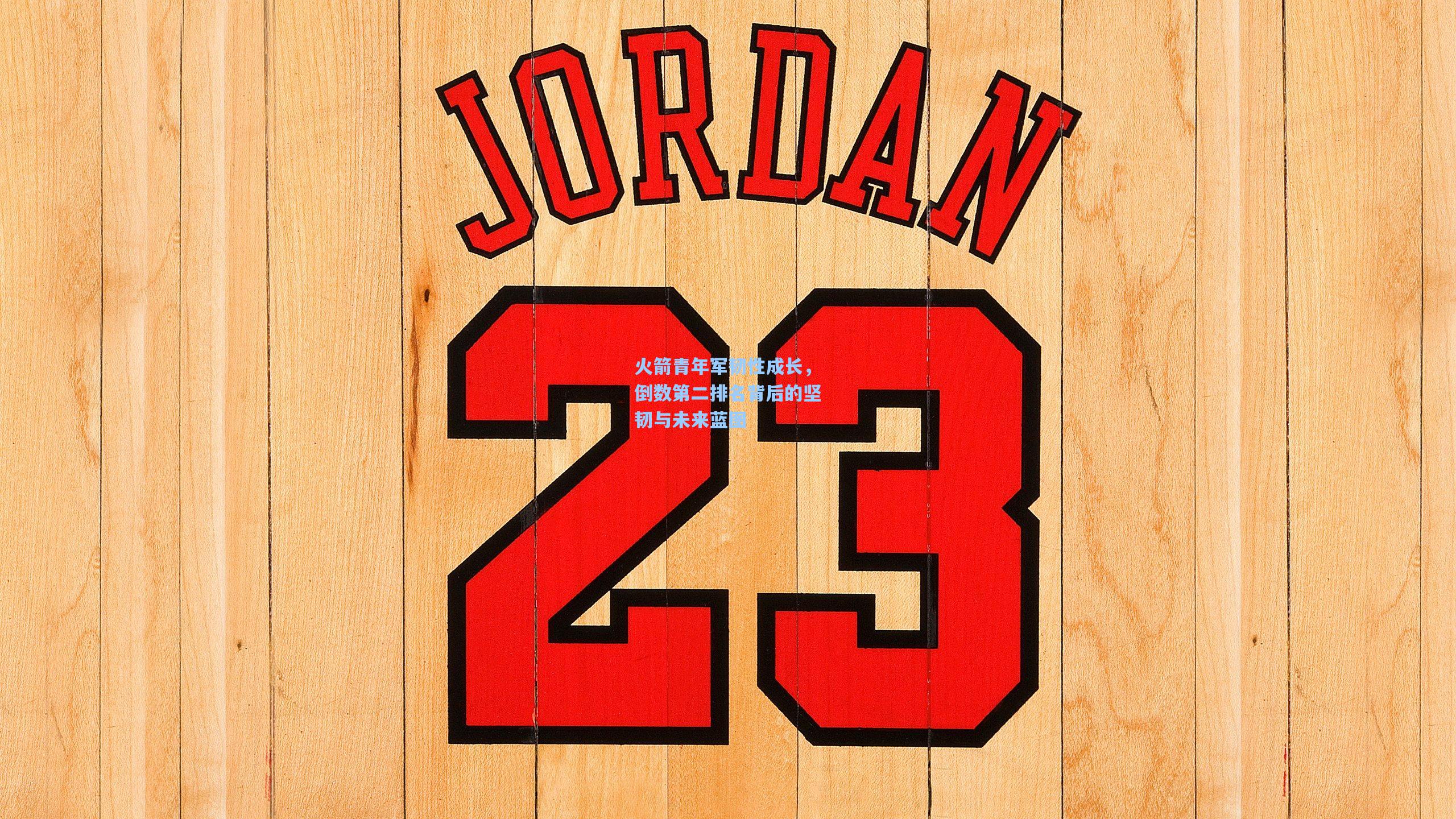 火箭青年军韧性成长,倒数第二排名背后的坚韧与未来蓝图